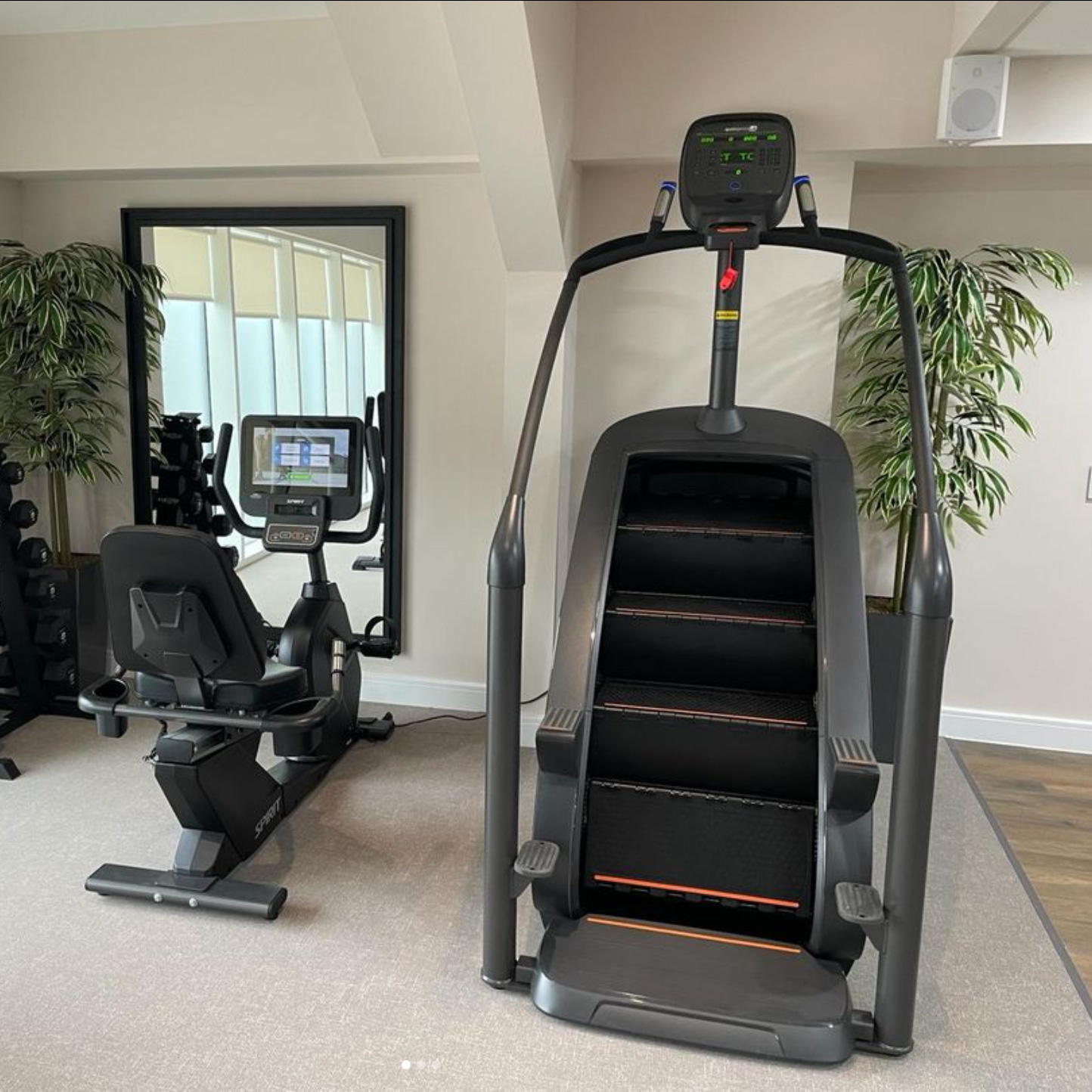Rehabilitation Gymnasium